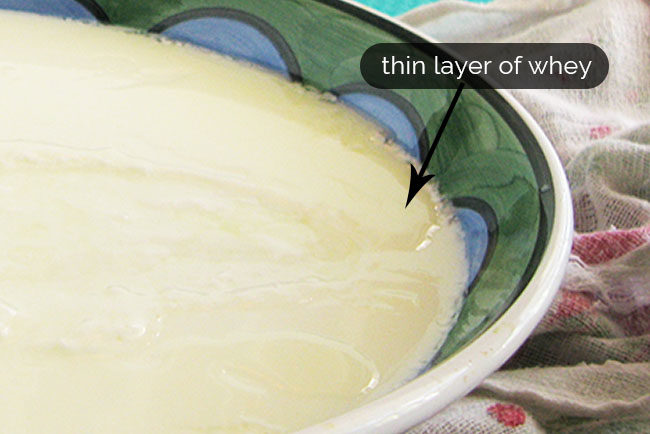 Thin layer of whey on top of yogurt.