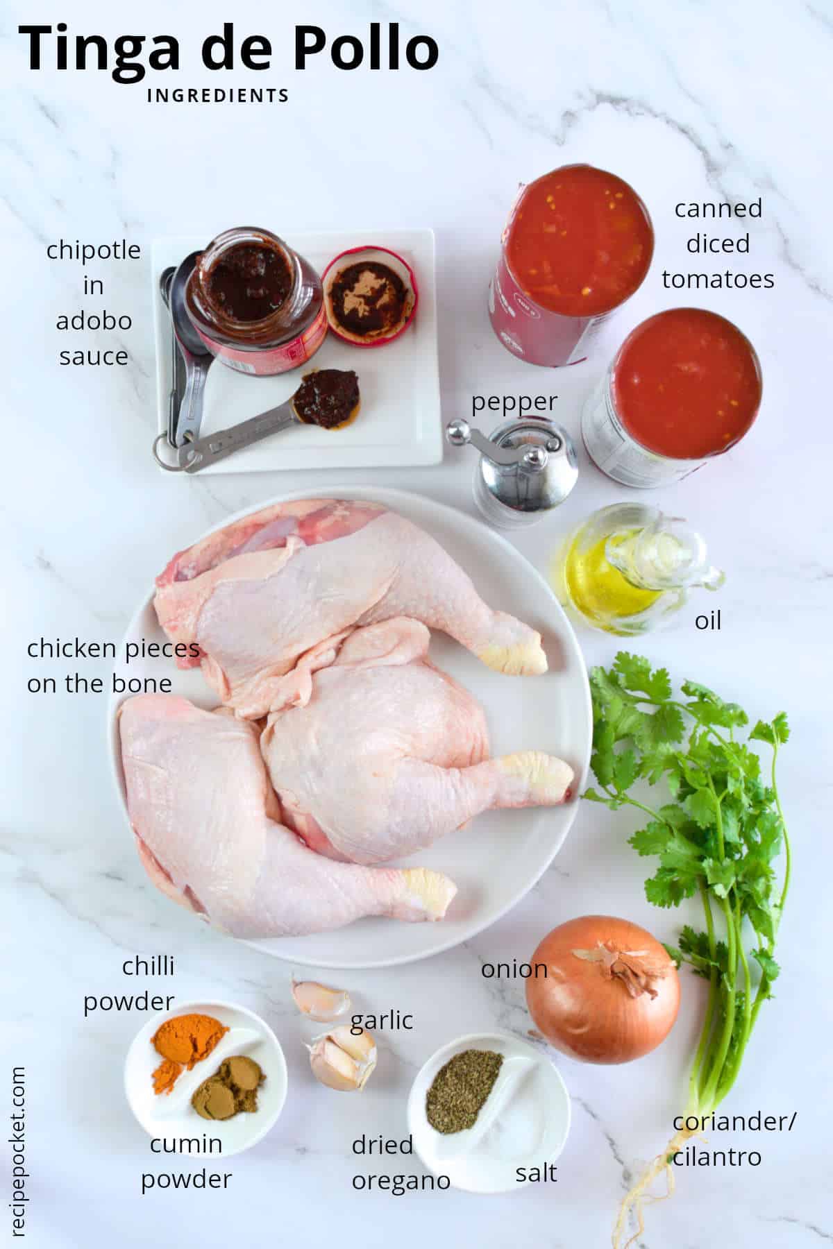 Image of ingredients for shredded chicken in tomato sauce.